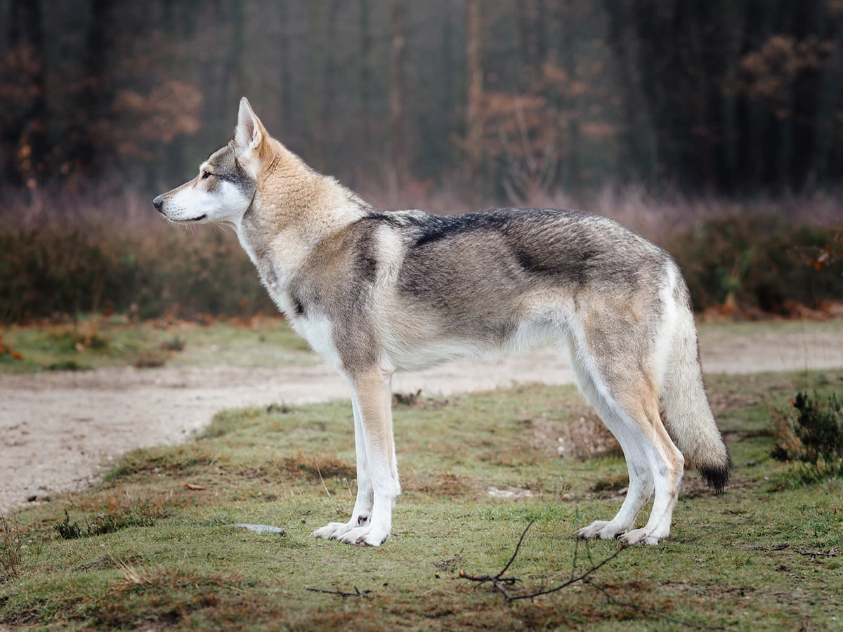 Full body shot - sideways (stacked)